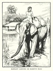 Elefante cargando el correo de Su Majestad (litografía)