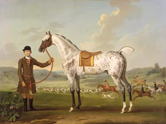 Escipión, el cazador moteado del Coronel Roche, c.1750