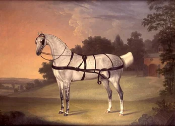 Retrato de belleza, de diez años