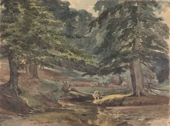 Escena de río arbolado