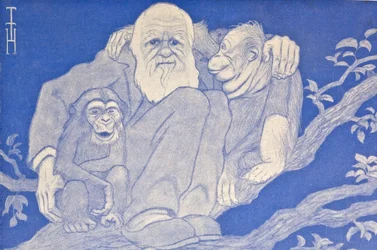 Caricatura de Darwin con monos, detalle, 1909
