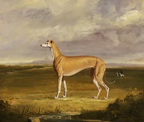 El galgo, c.1830