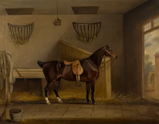 Un Bay Hunter ensillado en un establo, c.1819 (óleo sobre lienzo)