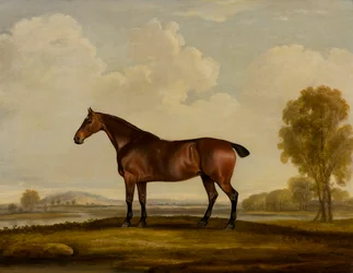 Georgiana: un caballo, c.1819 (óleo sobre lienzo)