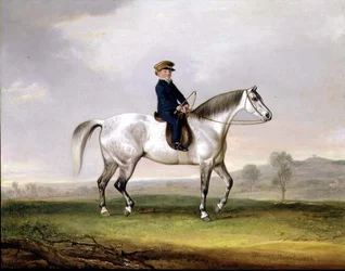 El Maestro Edward Humphries en su Pony Gris