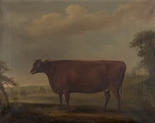 Red Devon Heifers en paisaje, c.1812 (óleo sobre lienzo)