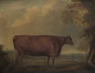 Red Devon Heifers en paisaje, c.1812 (óleo sobre lienzo)