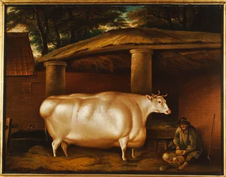 La novilla blanca que viajó, con un hombre cortando nabos en un patio de establo, 1811