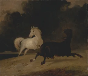Caballos en una tormenta