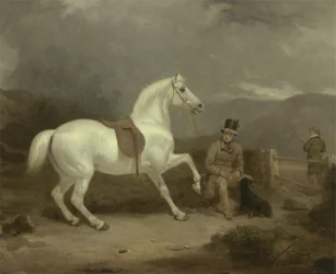 El poni de caza gris del Sr. Johnstone King esperando con un mozo de cuadra en un páramo escocés