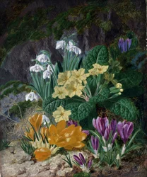 Flores de primavera (crocus y prímulas). Pintura de Thomas Worsey (1829-1875) Colección privada.