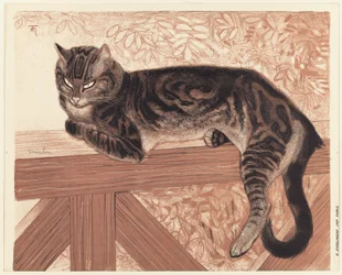 Verano: Gato en la balaustrada