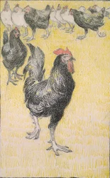Gallo, seguido de gallinas negras y blancas, 1899