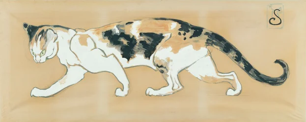 El gato