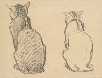 Dos Estudios de un Gato