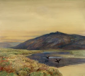 Paisaje con pájaros