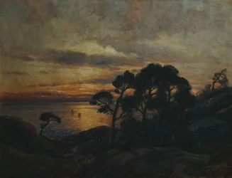 Pino al atardecer