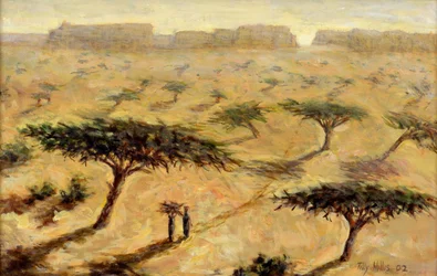 Paisaje saheliano, 2002