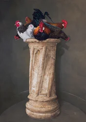 Gallinas, ojos abajo