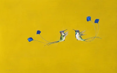 Colibríes
