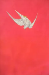 Swoop rosa; Halcón gerifalte