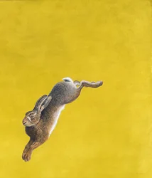 El Salto-Amarillo