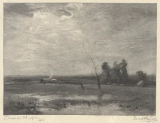 Paisaje, Tarde
