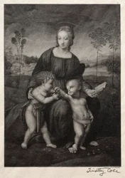 Viejos Maestros Italianos: La Madonna del Jilguero