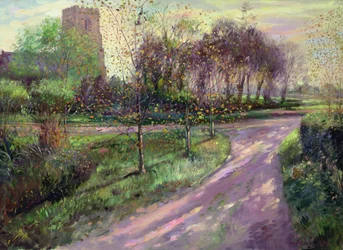 Arboleda de otoño