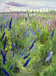 Delphiniums y sol emergente