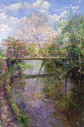 Cerezo en flor y puente de celosía
