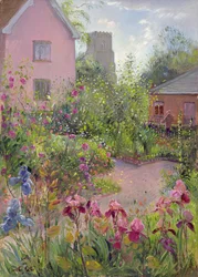 Jardín de hierbas al mediodía