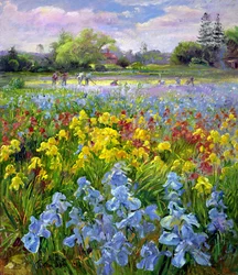 Equipo de azada y campos de iris
