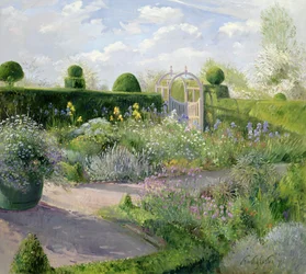 Iris en el jardín de hierbas, 1995