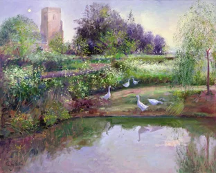 Reflejos al atardecer