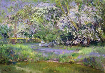 Colmenas en el bosque