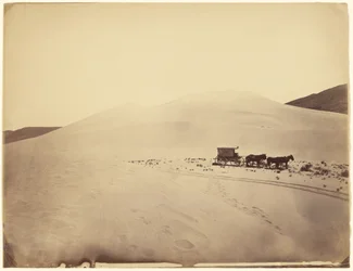 [Colinas de arena del desierto cerca del Sink del Carson, Nevada]