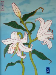 Lirio blanco sobre fondo azul, 2010