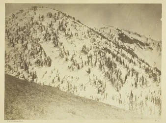Snow Peaks, Distrito Minero de Bull Run, Nevada