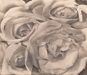 Rosas, México