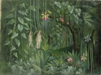 Cazadores de orquídeas de Brasil