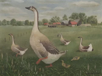 ¿Por dónde vas a vagar?