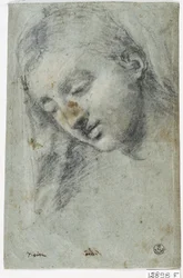 Cabeza de mujer (carboncillo sobre papel)