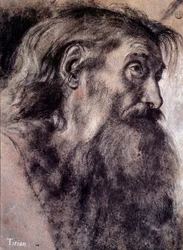 Cabeza de anciano. Dibujo de Tiziano Vecellio, llamado Tiziano (1485-1576), siglo XVI, París, Museo del Louvre