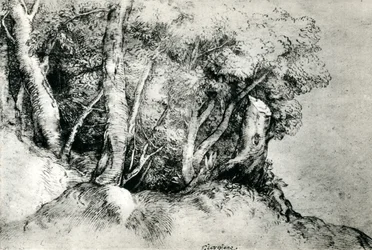 Paisaje forestal, c1516-1518