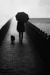 Paseo entre la niebla con el perro