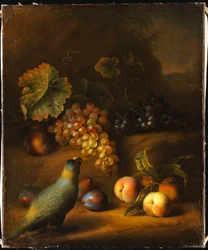 Un loro con uvas, duraznos y ciruelas en un paisaje