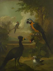 Guacamayo y otras aves en un paisaje