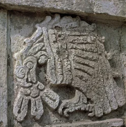 Relieve de un águila, templo de Quetzalcóatl