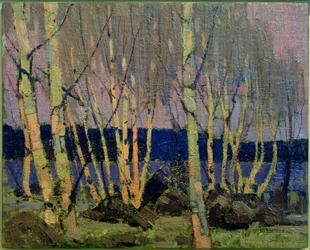 Atardecer, lago Canoe